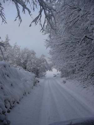 Ziemassvētki